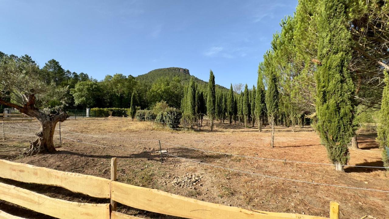 Camping Superbe Roulotte De Charme